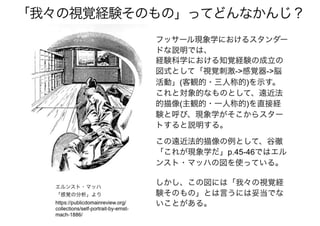 「アクティブビジョンと フリストン自由エネルギー原理」@北大20170111