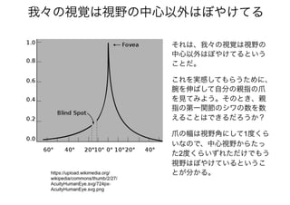 「アクティブビジョンと フリストン自由エネルギー原理」@北大20170111