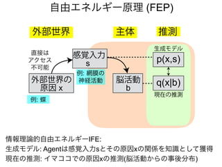 自由エネルギー原理 (FEP)
情報理論的自由エネルギーIFE:
生成モデル: Agentは感覚入力sとその原因xの関係を知識として獲得
現在の推測: イマココでの原因xの推測(脳活動からの事後分布)
主体外部世界
感覚入力
s
外部世界の
原因 x
p(x,s)
現在の推測
q(x|b)
生成モデル
推測
例: 網膜の
神経活動
直接は
アクセス
不可能
例: 蝶
脳活動
b
 