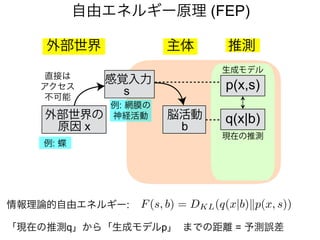 自由エネルギー原理 (FEP)
主体外部世界
感覚入力
s
外部世界の
原因 x
p(x,s)
現在の推測
q(x|b)
生成モデル
推測
例: 網膜の
神経活動
直接は
アクセス
不可能
例: 蝶
脳活動
b
「現在の推測q」から「生成モデルp」 までの距離 = 予測誤差
F(s, b) = DKL(q(x|b)kp(x, s))情報理論的自由エネルギー:
 