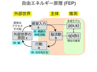 自由エネルギー原理 (FEP)
主体外部世界
感覚入力
s
行動
a
外部世界の
原因 x
p(x,s)
現在の推測
q(x|b)
生成モデル
推測
例: 網膜の
神経活動
直接は
アクセス
不可能
例: 目を向ける
例: 蝶
脳活動
b
 