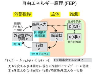 自由エネルギー原理 (FEP)
主体外部世界
感覚入力
s
行動
a
外部世界の
原因 x
p(x,s)
現在の推測
q(x|b)
生成モデル
推測
例: 網膜の
神経活動
直接は
アクセス
不可能
例: 目を向ける
例: 蝶
脳活動
b
F(s, b) = DKL(q(x|b)kp(x, s)) Fを最小化するには？
(1) bを変える (sは固定) - 現在の推測のアップデート = 認識
(2) sを変える (bは固定) - 行動aで感覚sを変える = 行動
 