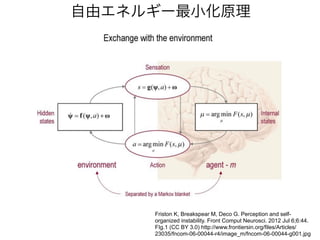 Friston K, Breakspear M, Deco G. Perception and self-
organized instability. Front Comput Neurosci. 2012 Jul 6;6:44.
FIg.1 (CC BY 3.0) http://www.frontiersin.org/files/Articles/
23035/fncom-06-00044-r4/image_m/fncom-06-00044-g001.jpg
自由エネルギー最小化原理
 
