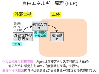 自由エネルギー原理 (FEP)
ヘルムホルツ的視覚観：Agentは直接アクセス不可能な世界xを
知るために感覚入力sから「無意識的推論」を行う。
変分ベイズ推定における観測値sから隠れ値xの推定と形式的に同じ。
主体外部世界
感覚入力
s
外部世界の
原因 x
例: 網膜の
神経活動
直接は
アクセス
不可能
例: 蝶
脳活動
b
 