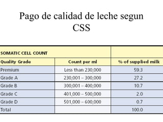Pago de calidad de leche segun
CSS

 