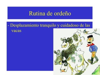 Rutina de ordeño
- Desplazamiento tranquilo y cuidadoso de las
vacas

 