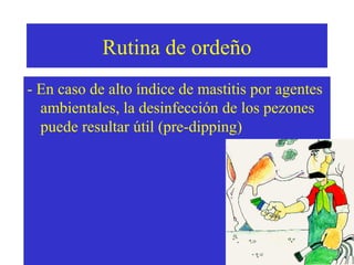 Rutina de ordeño
- En caso de alto índice de mastitis por agentes
ambientales, la desinfección de los pezones
puede resultar útil (pre-dipping)

 
