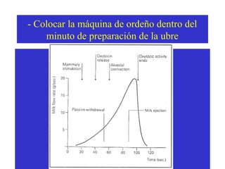 - Colocar la máquina de ordeño dentro del
minuto de preparación de la ubre

 