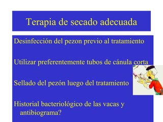 Terapia de secado adecuada
Desinfección del pezon previo al tratamiento
Utilizar preferentemente tubos de cánula corta
Sellado del pezón luego del tratamiento
Historial bacteriológico de las vacas y
antibiograma?

 
