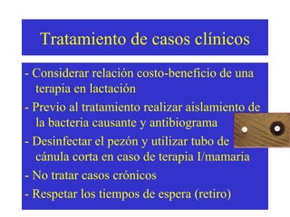 Tratamiento de casos clínicos
- Considerar relación costo-beneficio de una
terapia en lactación
- Previo al tratamiento realizar aislamiento de
la bacteria causante y antibiograma
- Desinfectar el pezón y utilizar tubo de
cánula corta en caso de terapia I/mamaria
- No tratar casos crónicos
- Respetar los tiempos de espera (retiro)

 
