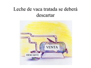 Leche de vaca tratada se deberá
descartar

 