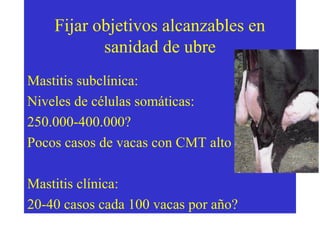 Fijar objetivos alcanzables en
sanidad de ubre
Mastitis subclínica:
Niveles de células somáticas:
250.000-400.000?
Pocos casos de vacas con CMT alto
Mastitis clínica:
20-40 casos cada 100 vacas por año?

 