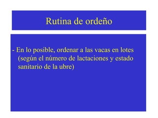 Rutina de ordeño
- En lo posible, ordenar a las vacas en lotes
(según el número de lactaciones y estado
sanitario de la ubre)

 
