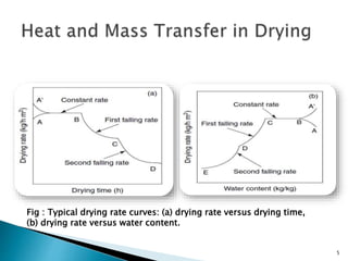 Fe ppt drying | PPTX