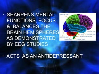 ·  SHARPENS MENTAL    FUNCTIONS, FOCUS   &  BALANCES THE BRAIN HEMISPHERES AS DEMONSTRATED BY EEG STUDIES·  ACTS  AS AN ANTIDEPRESSANT