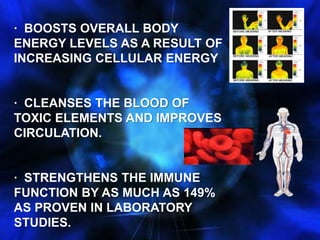 ·  BOOSTS OVERALL BODY ENERGY LEVELS AS A RESULT OF INCREASING CELLULAR ENERGY ·  CLEANSES THE BLOOD OF TOXIC ELEMENTS AND IMPROVES CIRCULATION. ·  STRENGTHENS THE IMMUNE FUNCTION BY AS MUCH AS 149% AS PROVEN IN LABORATORY STUDIES.