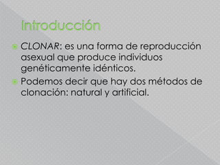  CLONAR: es una forma de reproducción
  asexual que produce individuos
  genéticamente idénticos.
 Podemos decir que hay dos métodos de
  clonación: natural y artificial.
 