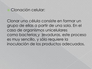    Clonación celular:

Clonar una célula consiste en formar un
grupo de ellas a partir de una sola. En el
caso de organismos unicelulares
como bacterias y levaduras, este proceso
es muy sencillo, y sólo requiere la
inoculación de los productos adecuados.
 