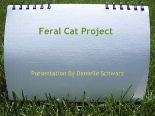 Feral Cat Project



Presentation By Danielle Schwarz