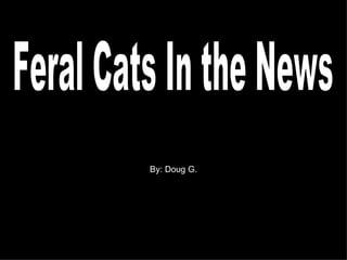 Feral Cats In the News By: Doug G. 