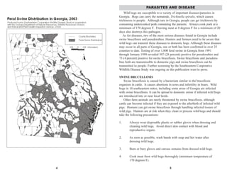 4 5
Wild hogs are susceptible to a variety of important diseases/parasites in
Georgia. Hogs can carry the nematode, Trichinella spiralis, which causes
trichinosis in people. Although rare in Georgia, people can get trichinosis by
consuming undercooked pork containing the parasite. Always cook pork at a
minimum of 170 degrees F. Freezing meat at 0 degrees F for a minimum of 20
days also destroys this pathogen.
As for diseases, two of the most serious diseases found in Georgia include
swine brucellosis and pseudorabies. Hunters and farmers need to be aware that
wild hogs can transmit these diseases to domestic hogs. Although these diseases
may occur in all parts of Georgia, one or both has been confirmed in over 25
counties to date. Testing of over 1,800 feral swine in Georgia from 1991
through January 1999 revealed 507 (28 percent) positive for pseudorabies and
73 (4 percent) positive for swine brucellosis. Swine brucellosis and pseudora-
bies both are transmissible to domestic pigs and swine brucellosis can be
transmitted to people. Further screening by the Southeastern Cooperative
Wildlife Disease Study was ongoing as this publication went to press.
SWINE BRUCELLOSIS
Swine brucellosis is caused by a bacterium similar to the brucellosis
organism in cattle. It causes abortions in sows and infertility in boars. Wild
hogs in 10 southeastern states, including some areas of Georgia are infected
with swine brucellosis. It can be spread to domestic swine if infected wild hogs
are introduced into or near local herds.
Other farm animals are rarely threatened by swine brucellosis, although
cattle can become infected if they are exposed to the afterbirth of infected wild
pigs. Humans can get swine brucellosis through handling infected tissues of
wild pigs. Hunters are at risk when they clean or process wild hogs and should
take the following precautions:
1. Always wear disposable plastic or rubber gloves when dressing and
cleaning wild hogs. Avoid direct skin contact with blood and
reproductive organs.
2. As soon as possible, wash hands with soap and hot water after
dressing wild hogs.
3. Burn or bury gloves and carcass remains from dressed wild hogs.
4. Cook meat from wild hogs thoroughly (minimum temperature of
170 degrees F).
PARASITES AND DISEASE
 