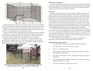 10
HUNTING WITH DOGS
In certain situations, trained dogs may be used to locate hogs. Dogs should
be properly trained for hog control to lessen the possibility of injury. Hogs will
become particularly wary of dogs after they have been continuously harassed
and other control methods may become necessary.
FENCING
Fencing is the only guaranteed control measure available to hog producers.
Check with the USDA Veterinary Services (770-922-7860) for information on
proper double fencing around hog operations to prevent contact between feral
and domestic swine. Excluding feral hogs from valuable crops can be accom-
plished using several types of fencing, including hog wire and electric fence.
To be hog proof, non-electric fences must be made of a net wire or diamond
mesh construction with the spacing of vertical wires of 6 inches or less. Fences
should be at least 36 inches tall and tightly stretched and, if necessary, buried
beneath the ground. Hog proof fencing is difficult to achieve across terrain with
dips and gullies and these features increase trapping costs substantially.
The "Peanut butter fence" that works for deer exclusion also will work for
hogs. This is a one or two strand electric fence with multicolored high visibility
(1-1½ inch wide) polytape installed at 10 to 20 inches above the ground. Before
initial use, dab a slurry mix of peanut butter and cooking oil on the tape at fre-
quent intervals (3-6 feet apart) so that any initial contact by hogs will result in a
memorable shock to the nose or tongue.
For more information and assistance, contact the local WRD Game
Management office (see front of this booklet for phone numbers).
FERMENTED CORN RECIPE:
1. Use large metal trash cans with re-sealable lid, 40-50 gallon size.
2. Per 150 pounds of corn: Add 8 pounds of sugar.
3. Add 1 to l ½ packets of yeast.
4. Optional: Add 5 packets of grape, strawberry, or raspberry Jell-O or
Kool Aid for a sweet smell.
5. Add water 3-4" above corn. Note: Check daily to keep water level to
top of corn.
6. Place trash cans in direct sunlight. During warm weather corn should
properly ferment in 5 to 7 days.
7. Stir daily with shovel to properly mix contents.
®
11
®
Hog traps come in all shapes and sizes. This photo depicts a flap door
portable trap that has proven successful in South Georgia.
When pre-baiting, the trap door is wired open to allow free access to the trap
and bait. Once the hogs become accustomed to entering the trap the door should
be propped open with a stick that is attached to a screen door spring. The door
is opened 18 to 20 inches, and the spring attached with sufficient tension to pull
the stick away from the door when a hog enters the trap.
Once an animal has been caught in this trap, other hogs can enter by pushing
open the door. As with other multi-catch traps, a decoy animal in the trap will
aid in attracting other hogs to enter. The trap should be checked daily for ani-
mals. Decoy animals should be fed and watered as often as necessary.
Plain corn, fermented corn (see recipe page 11), or peanut butter are the
preferred baits. Because hogs have a keen sense of smell, the trap should be
placed upwind of known hog activity areas. Pre-baiting is extremely important
for any long-term successful trapping operation.
 