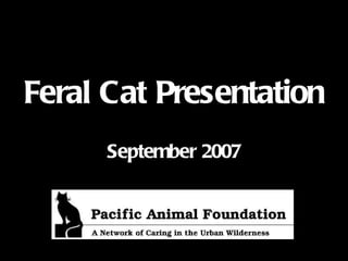 Feral Cat Presentation September 2007 