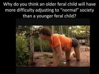 Why do you think an older feral child will have more difficulty adjusting to “normal” society than a younger feral child? 