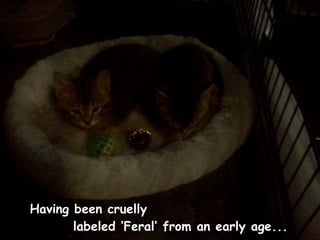 Having been cruelly
       labeled ‘Feral’ from an early age...
 