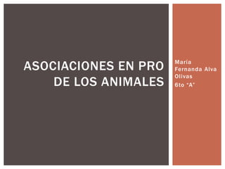 ASOCIACIONES EN PRO
DE LOS ANIMALES

María
Fernanda Alva
Olivas
6to “A”

 