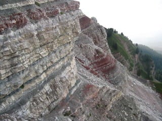 Feratarska cortina 2012