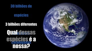 30 bilhões de
espécies
3 bilhões diferentes
30 milhões
catalogadas
Qual dessas
espécies é a
nossa?
 