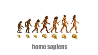 homo sapiens
 
