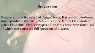 Dengue virus
Dengue virus is the cause of dengue fever. It is a mosquito-borne
single positive- stranded RNA virus of the family Flaviviridae;
genus Flavivirus. Five serotypes of the virus have been found, all
of which can cause the full spectrum of disease.
 