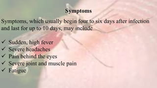 Symptoms
Symptoms, which usually begin four to six days after infection
and last for up to 10 days, may include
 Sudden, high fever
 Severe headaches
 Pain behind the eyes
 Severe joint and muscle pain
 Fatigue
 