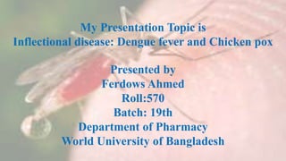 My Presentation Topic is
Inflectional disease: Dengue fever and Chicken pox
Presented by
Ferdows Ahmed
Roll:570
Batch: 19th
Department of Pharmacy
World University of Bangladesh
 