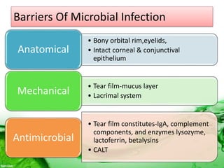 Barriers Of Microbial Infection
• Bony orbital rim,eyelids,
• Intact corneal & conjunctival
epithelium
Anatomical
• Tear film-mucus layer
• Lacrimal systemMechanical
• Tear film constitutes-IgA, complement
components, and enzymes lysozyme,
lactoferrin, betalysins
• CALT
Antimicrobial
 