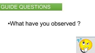 •What have you observed ?
GUIDE QUESTIONS
 