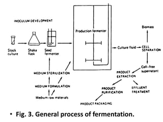 • Fig. 3. General process of fermentation.
 