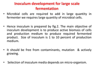 Inoculum development for large scale
fermentation
• Microbial cells are required to add in large quantity in
fermenter we requires large quantity of microbial cells.
• Hence inoculum is prepared by fig.2. The main objective of
inoculum development is to produce active biomass of cells
and production medium to produce required fermented
product. Size of inoculum is 1 to 10 percent of production
medium.
• It should be free from contaminants, mutation & actively
growing.
• Selection of inoculum media depends on micro-organism.
 