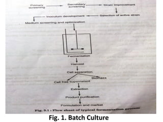 Fig. 1. Batch Culture
 