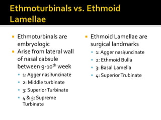 Sinus Anatomy Lectures: Western Residents Advanced Endsocopic Sinus ...
