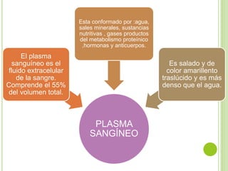 PLASMA
SANGÍNEO
El plasma
sanguíneo es el
fluido extracelular
de la sangre.
Comprende el 55%
del volumen total.
Esta conformado por :agua,
sales minerales, sustancias
nutritivas , gases productos
del metabolismo proteínico
,hormonas y anticuerpos.
Es salado y de
color amarillento
traslúcido y es más
denso que el agua.
 