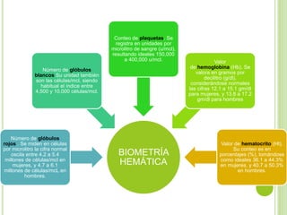 BIOMETRÍA
HEMÁTICA
Número de glóbulos
rojos . Se miden en células
por microlitro la cifra normal
oscila entre 4.2 a 5.4
millones de células/mcl en
mujeres, y 4.7 a 6.1
millones de células/mcL en
hombres.
Número de glóbulos
blancos Su unidad también
son las células/mcl, siendo
habitual el índice entre
4,500 y 10,000 células/mcl.
Conteo de plaquetas. Se
registra en unidades por
microlitro de sangre (u/mcl),
resultando ideales 150,000
a 400,000 u/mcl. Valor
de hemoglobina (Hb). Se
valora en gramos por
decilitro (g/dl),
considerándose normales
las cifras 12.1 a 15.1 gm/dl
para mujeres, y 13.8 a 17.2
gm/dl para hombres
Valor de hematocrito (Ht).
Su conteo es en
porcentajes (%), tomándose
como ideales 36.1 a 44.3%
en mujeres, y 40.7 a 50.3%
en hombres.
 