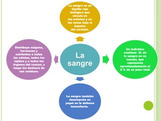 La
sangre
La sangre es un
líquido rojo
biológico que
circula en
las arterias y en
las venas bajo el
impulso
del corazón.
Un individuo
contiene 5L de
la sangre en su
cuerpo, que
representa
aproximadamente el
8 % de su peso total
La sangre también
desempeña un
papel en la defensa
inmunitaria.
Distribuye oxígeno,
hormonas y
nutrientes a todas
las células, todos los
tejidos y a todos los
órganos del cuerpo, y
luego los deshace de
sus residuos.
 