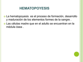 HEMATOPOYESIS
 La hematopoyesis es el proceso de formación, desarrollo
y maduración de los elementos formes de la sangre .
 Las células madre que en el adulto se encuentran en la
médula ósea .
 