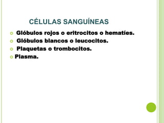 CÉLULAS SANGUÍNEAS
 Glóbulos rojos o eritrocitos o hematíes.
 Glóbulos blancos o leucocitos.
 Plaquetas o trombocitos.
 Plasma.
 