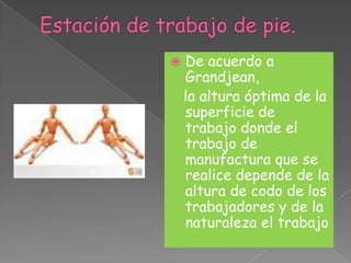 Estación de trabajo de pie.De acuerdo a Grandjean,la altura óptima de la superficie de trabajo donde el trabajo de manufactura que se realice depende de la altura de codo de los trabajadores y de la naturaleza el trabajo