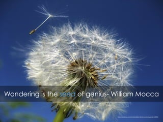 Wondering is the seed of genius- William Mocca
https://pixabay.com/en/dandelion-flower-summer-garden-53800/
 