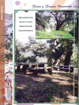 FERIA DE SAN MIGUEL 2013 BENARRABÁ